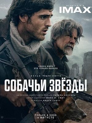 Собачьи звёзды